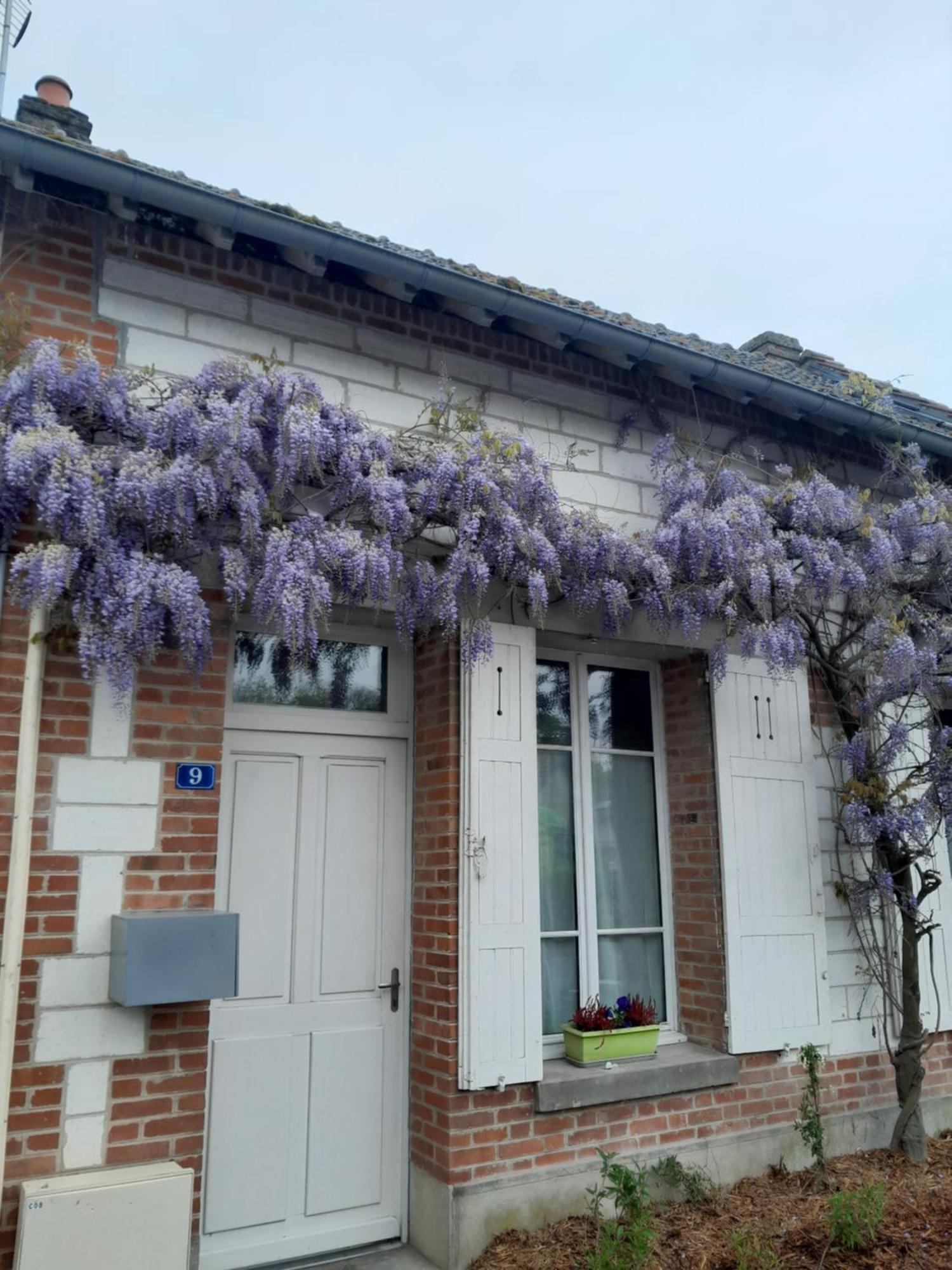 Gite, Maison A La Campagne Ardennes, Aisne,Marne Le Thour 客房 照片